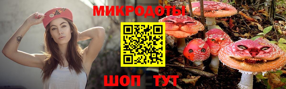 Псилоцибиновые грибы Psilocybe  Вход с VPN  Дзержинский  где продают наркотики  Псилоцибиновые грибы Psilocybine cubensis 